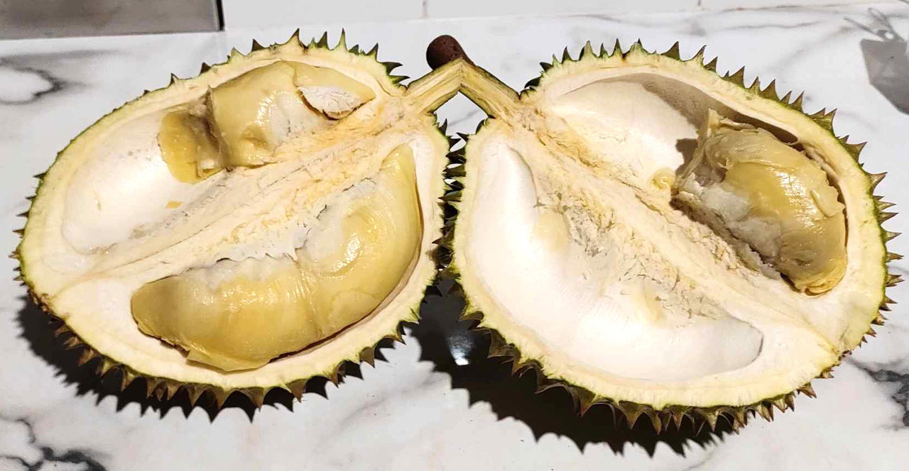 sweet_durian_02