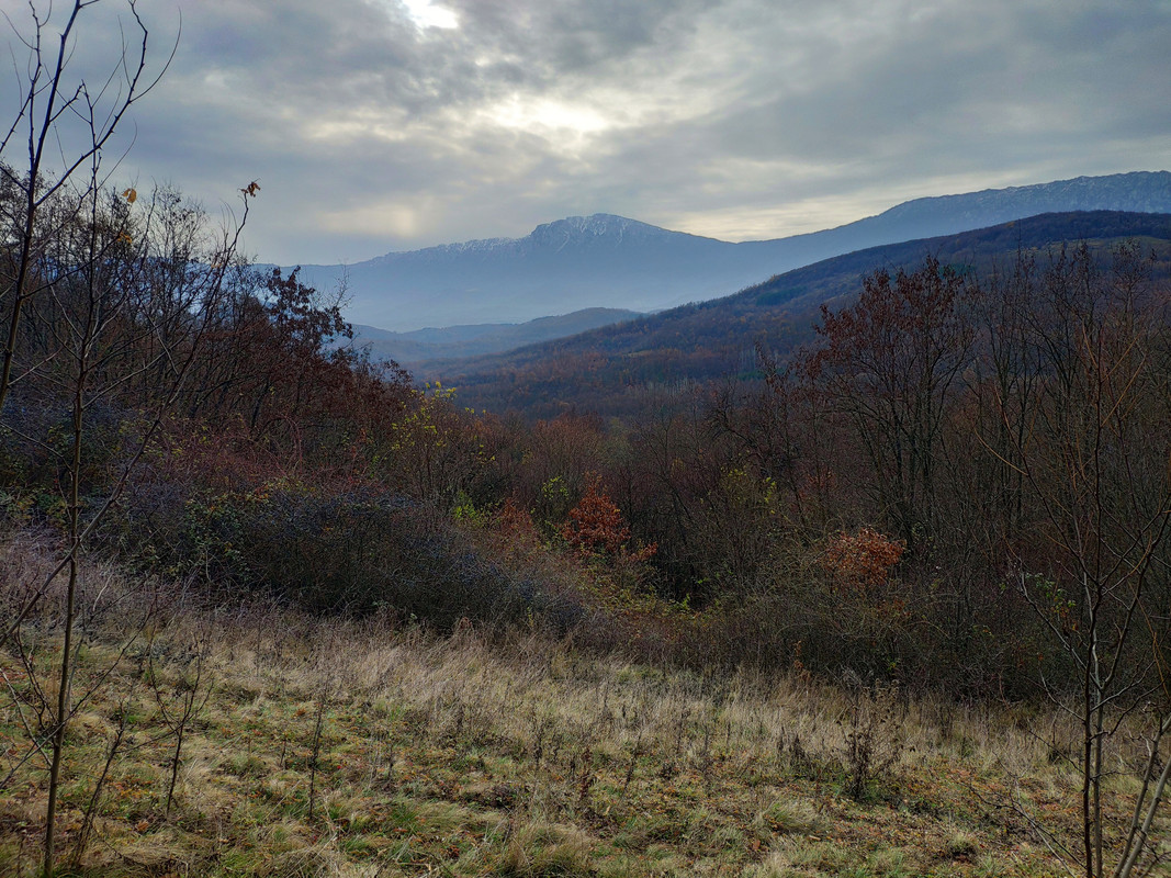 IMG_20191210_092453 (1)