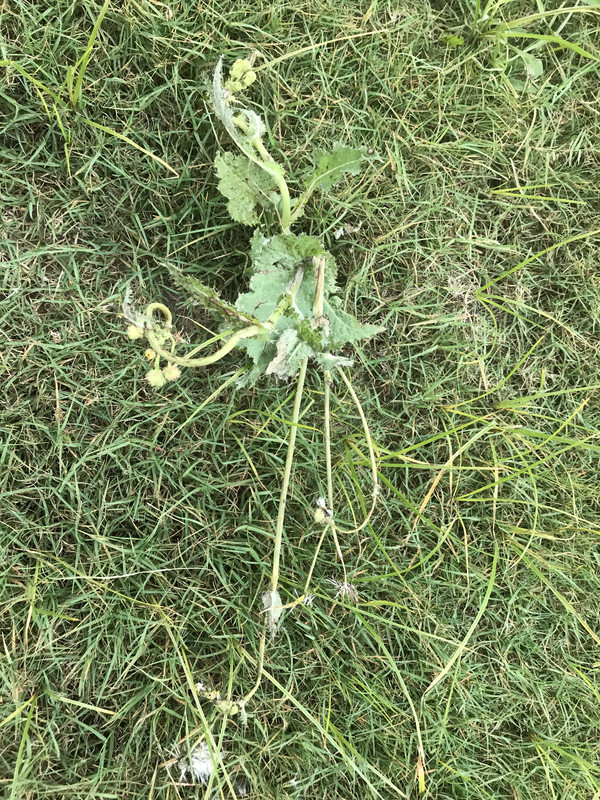 7B432E8E-D7C2-4871-A30A-F1B5259FB502