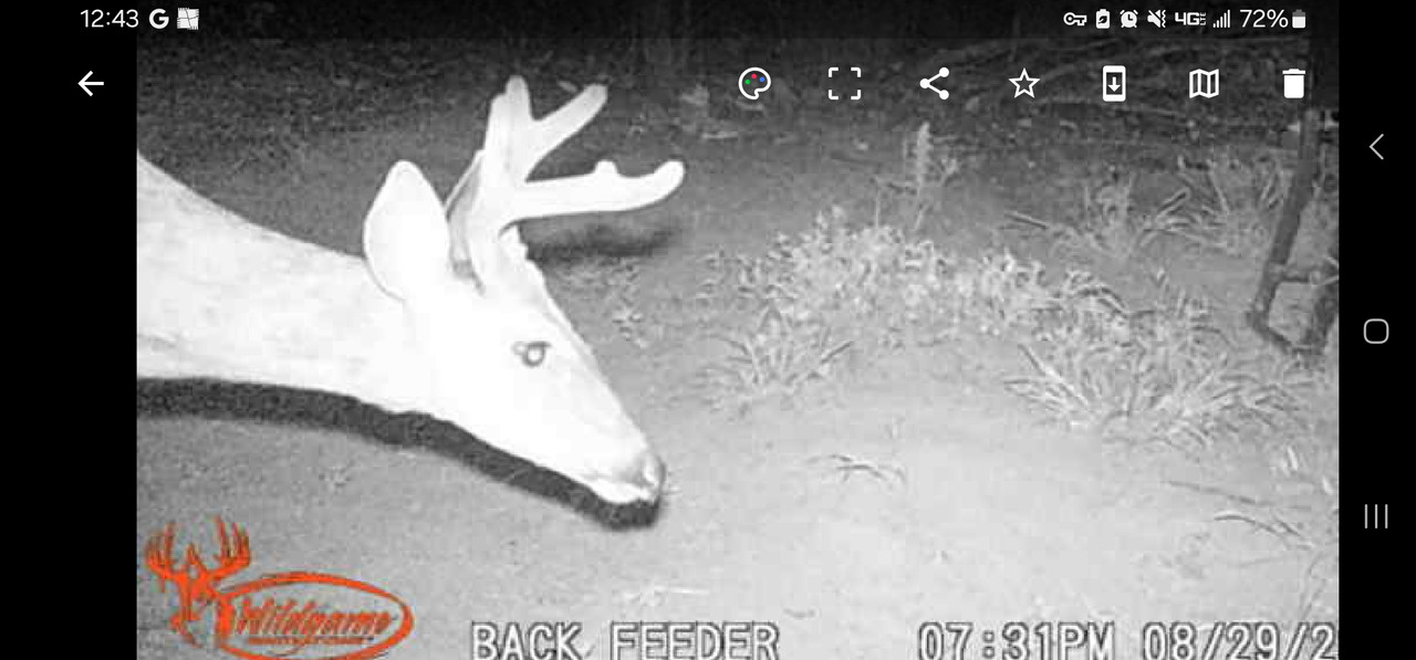 Screenshot_20240830_124301