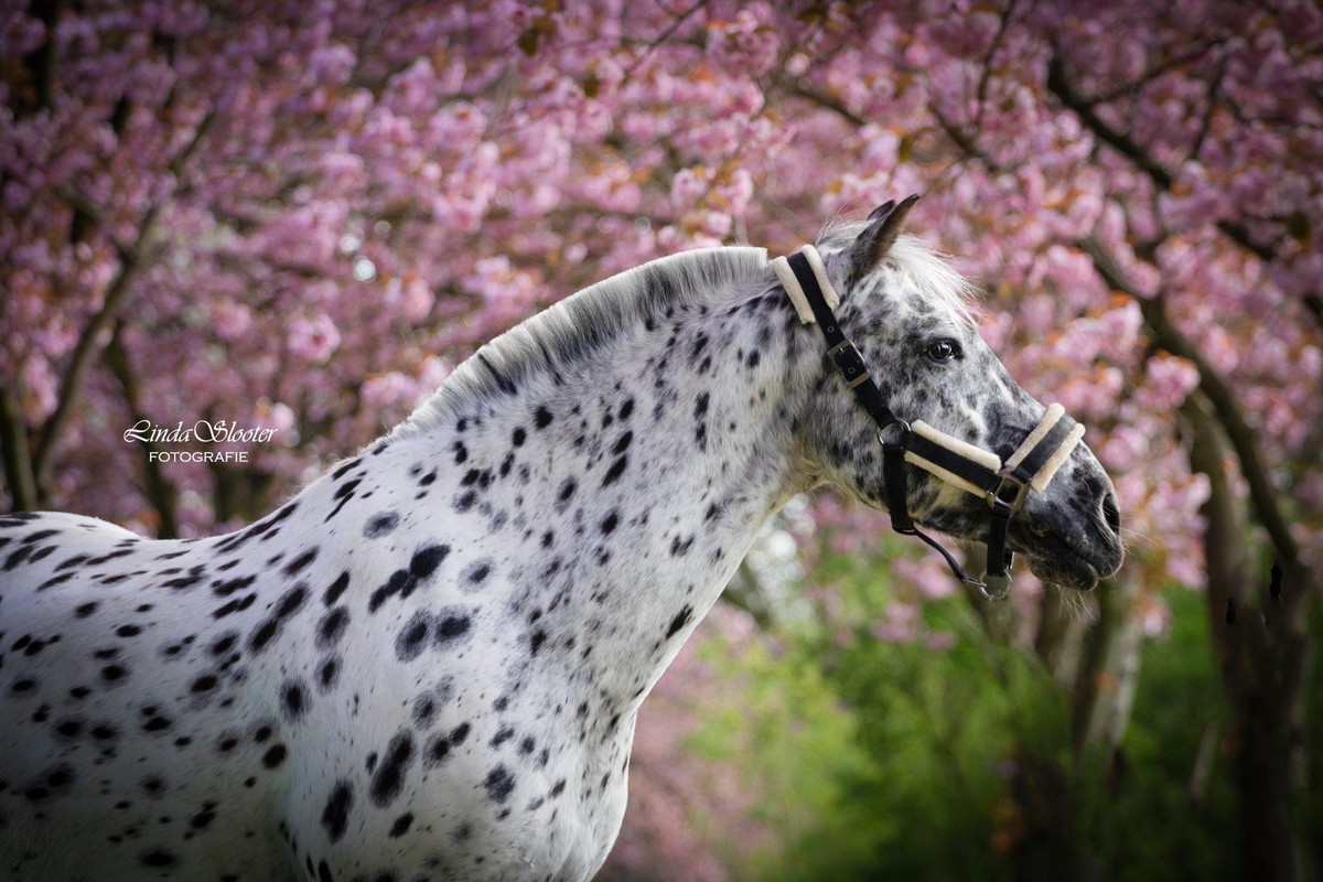 CF08E6DC-EC50-45FD-B491-2C7B202A13FF