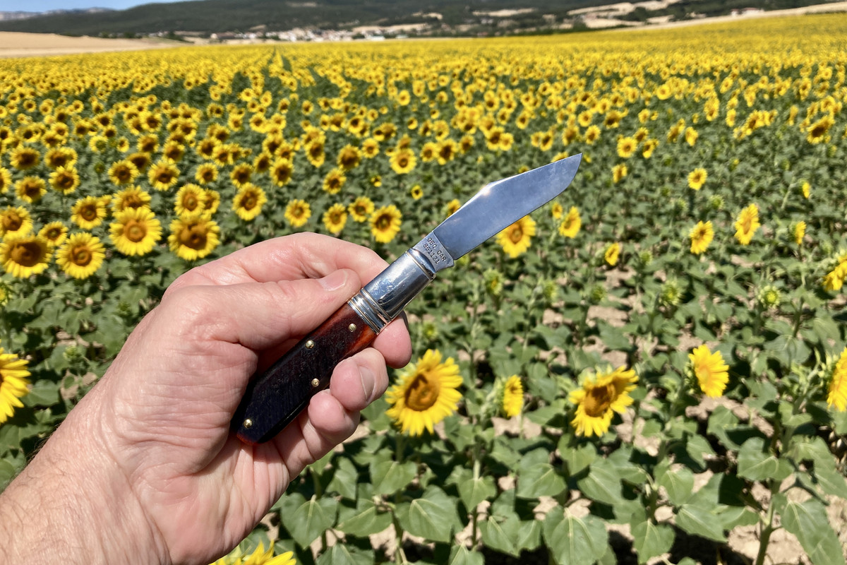 291C1CC7-521A-47A7-9606-49198158BC7E