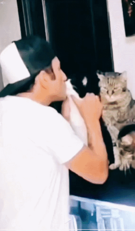 GIF-13.gif