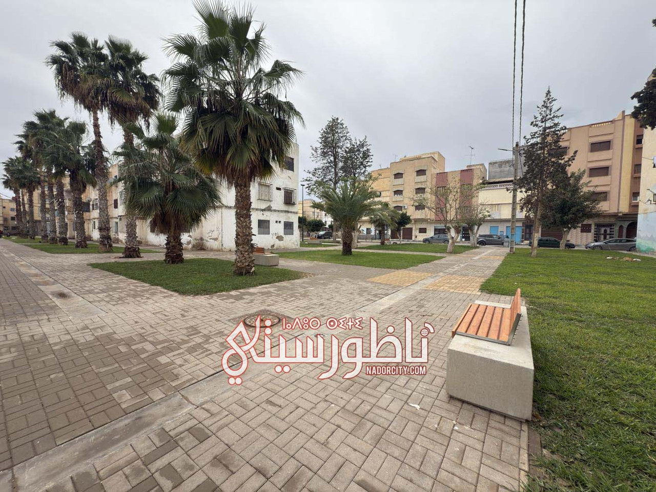 621740369-1903861250231062-2806136149998595908-n