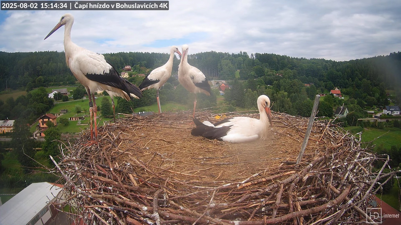 Živě z čapího komína firmy KARA v Bohuslavicích u Trutnova 12-59-8 screenshot
