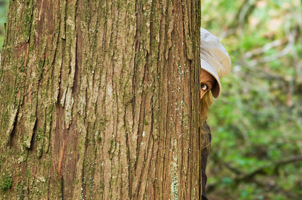 https://i.postimg.cc/3RW9qyn9/istockphoto-118188940-612x612.jpg