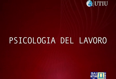 Videolezioni di Psicologia Del Lavoro [SATRip ITA]