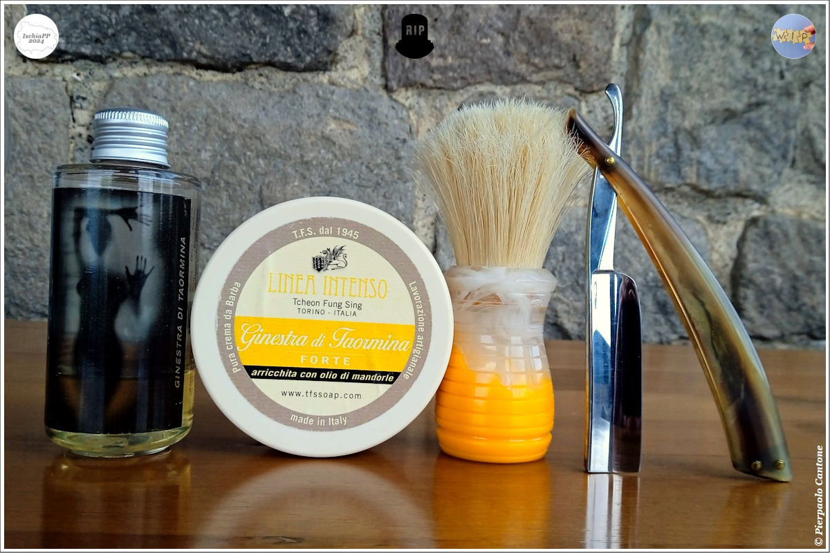 SOTD20240425_ChongQin2