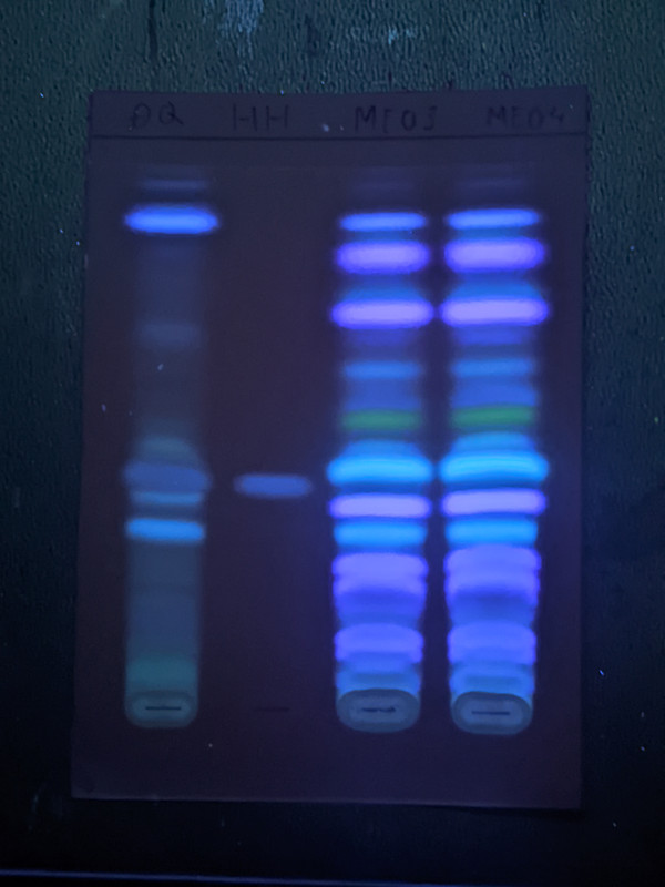 PXL 20251104 075737608 NIGHT