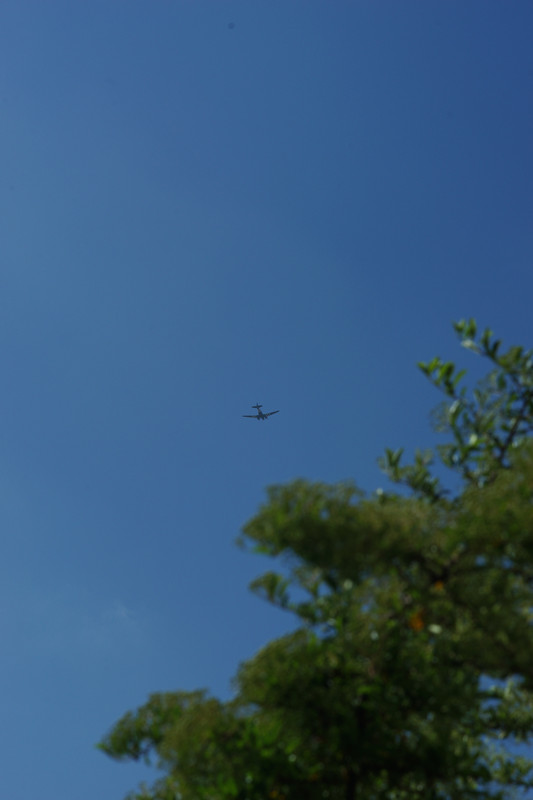 DSC00027.jpg