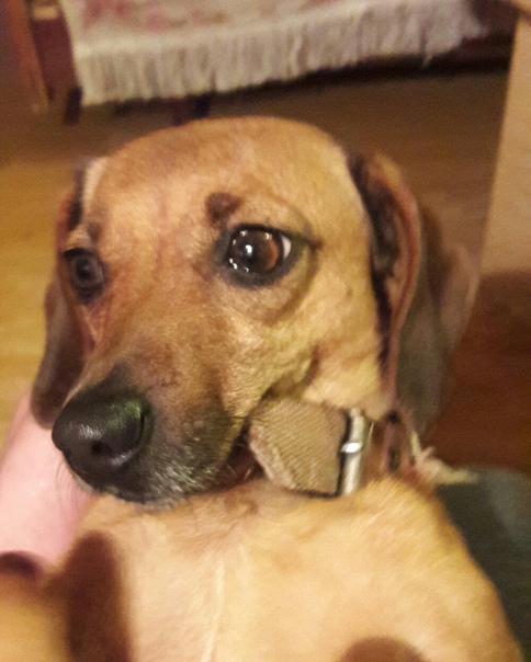 9E3A9411-B27C-4563-9EB9-F60F76034FAF