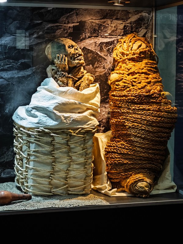 https://i.postimg.cc/3RXGvb5n/Image01918.jpg