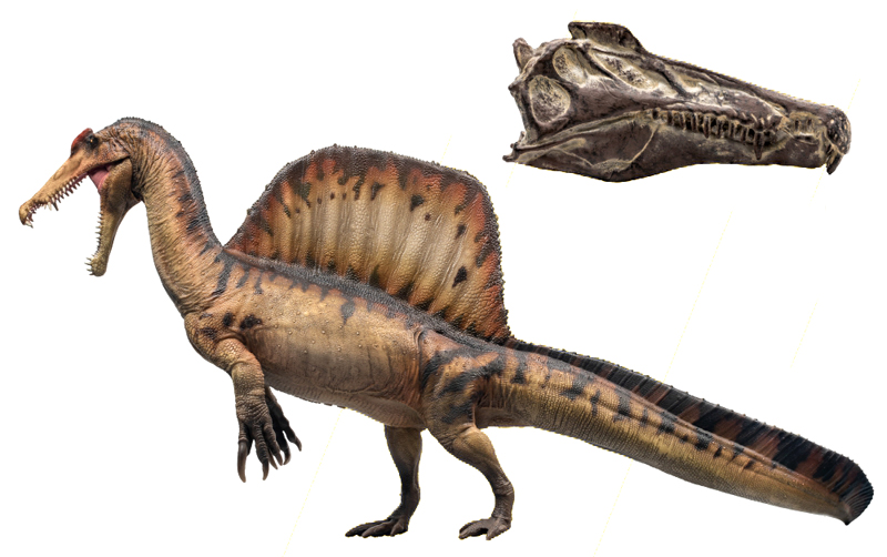 2023 Prehistoric Figure of the Year, time for your choices! - Maximum of 5 PNSO-2024-Spino