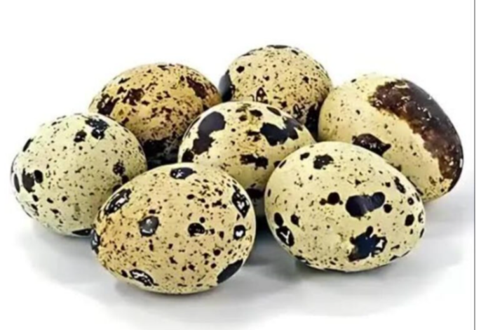 কোয়েল পাখির ডিম 