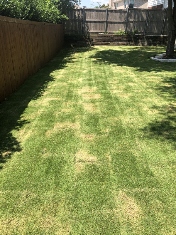 B65D566A-4392-4502-ACA6-119743799142