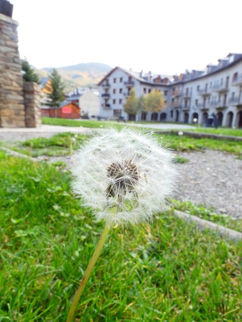 Pirineo Aragonés - Blogs de España - **Día 1 (28 de octubre): Llegada y vista de Benasque (6)