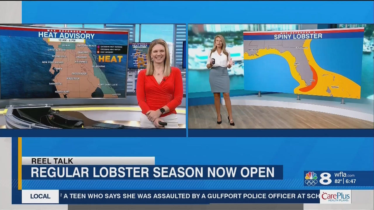 NewsChannel 8 Today at 6a_20240809_11001200.ts_snapshot_00.48.25.203
