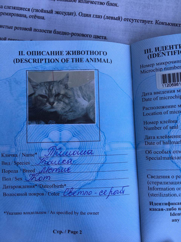 0B03C1C3-0B15-4CF5-AF7B-8F4ADF2CE7D6