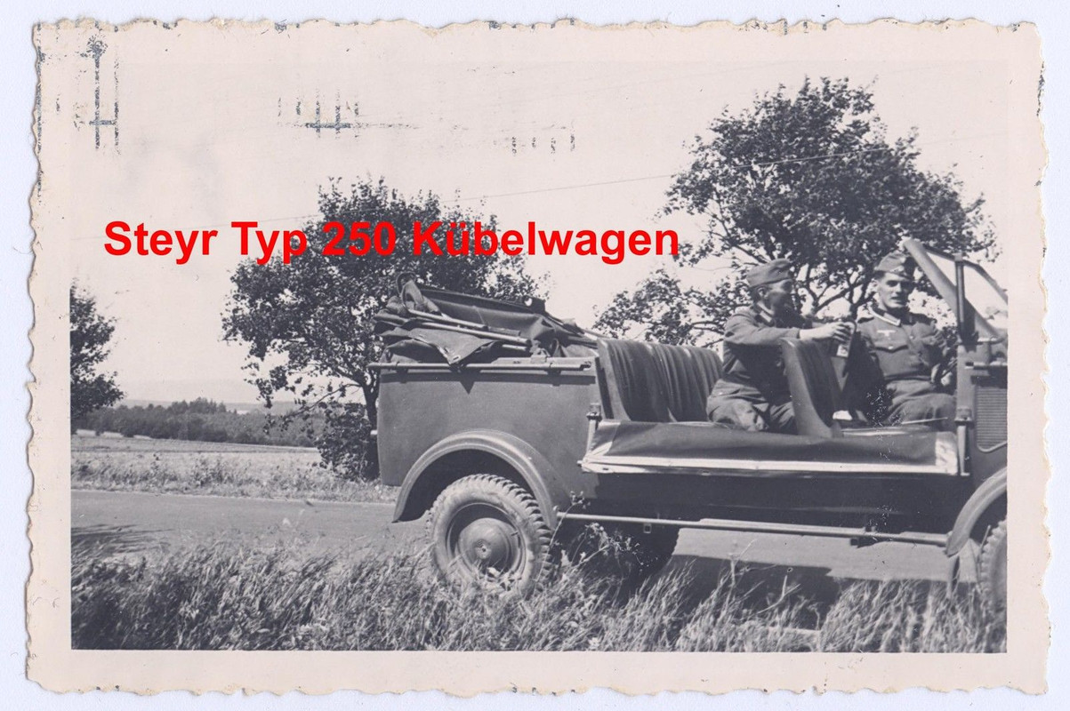 Foto Steyr Typ 250 Kübelwagen,Auto,Wehrmacht,ww2