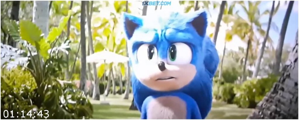 Sonic-the-Hedgehog-2-2022-720p-CAMRip-English-1-XBET.jpg