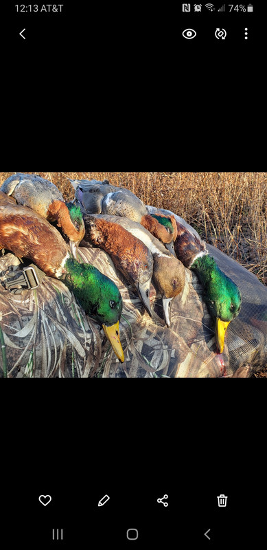 Screenshot_20200811-121345_Gallery