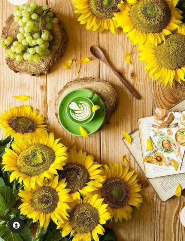 Screenshot_20230211_151623_Chrome