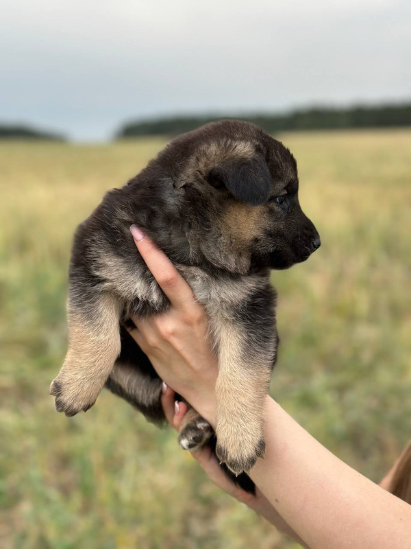 photo_2023-07-23_20-03-45