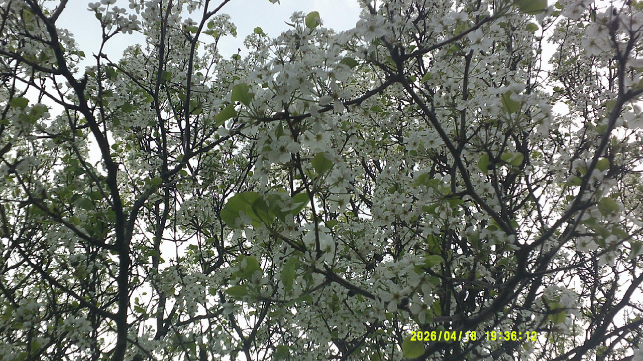a green gradient