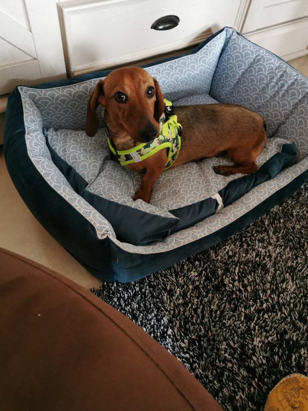 [Image: image000000-188.jpg]