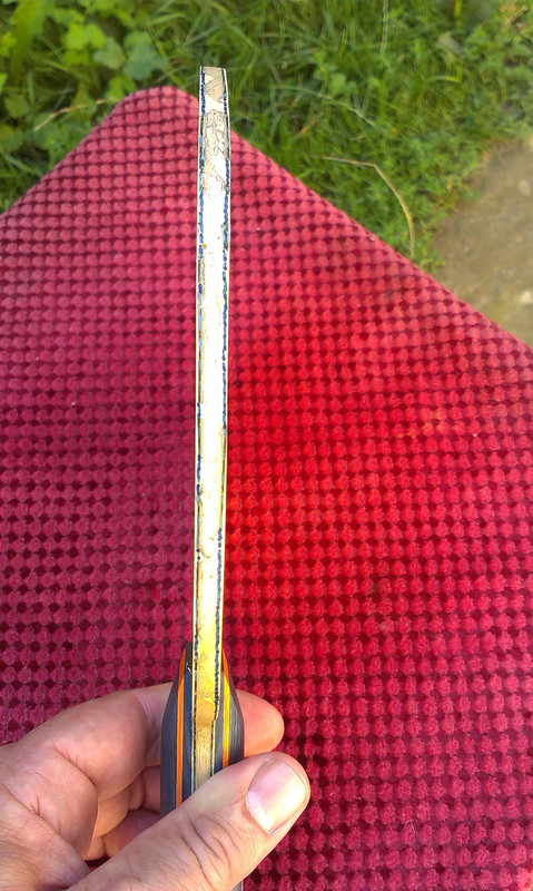 IMAG1246