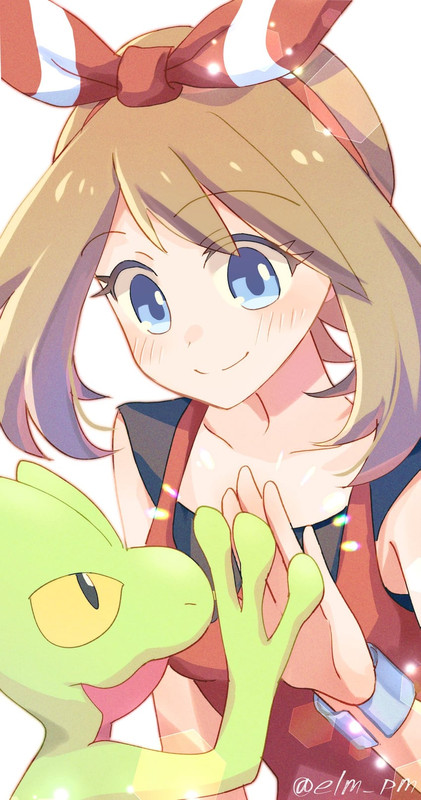 may-and-treecko-pokemon-and-2-more-drawn