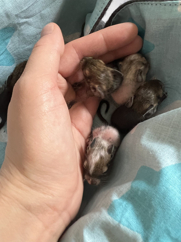 7C937B5F-52D6-4115-87FF-D6ADF544BF0B