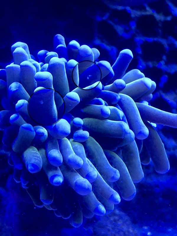 211D1091-7EC2-485D-8698-63D7F00EAB90