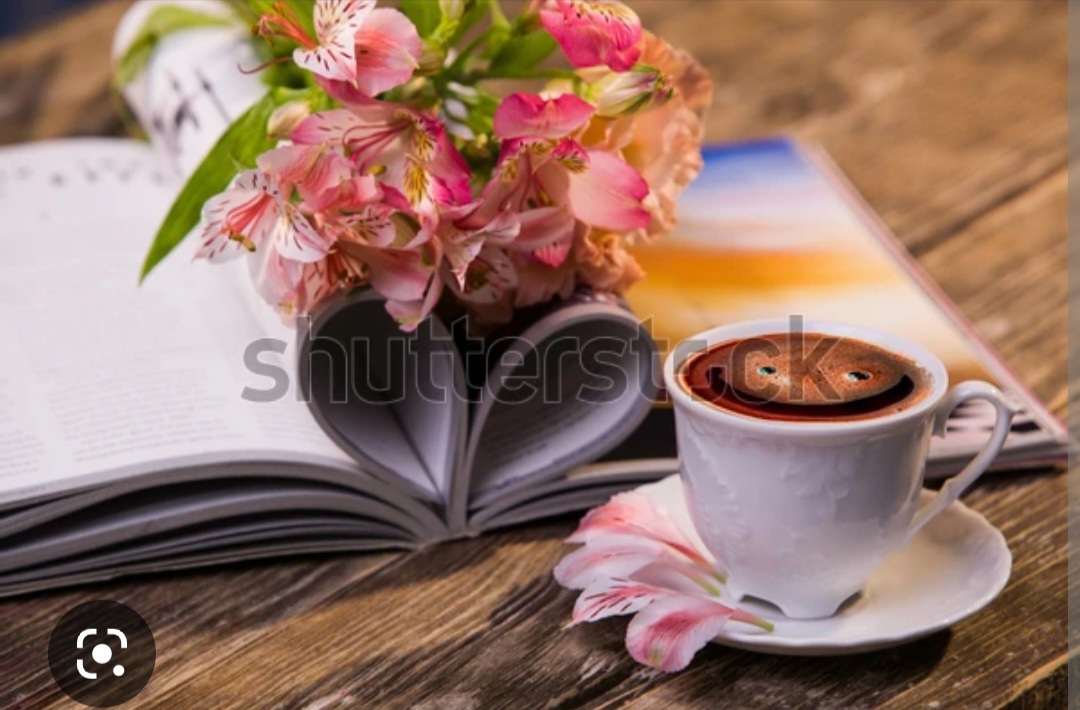 Screenshot_20221124-084142_Chrome