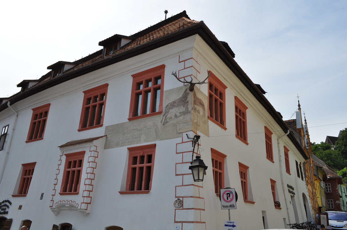 DSC_3992