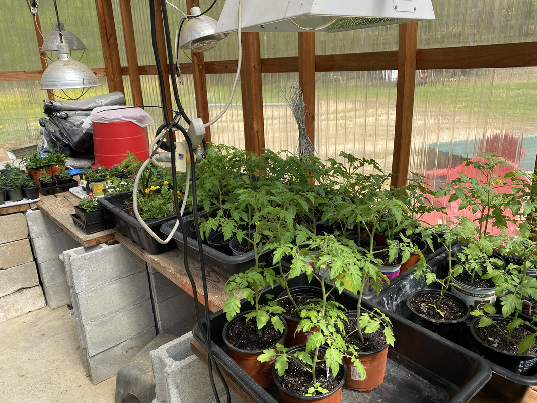 9AD5D186-E1C4-4CD2-A0D2-B4B24EEE88D1