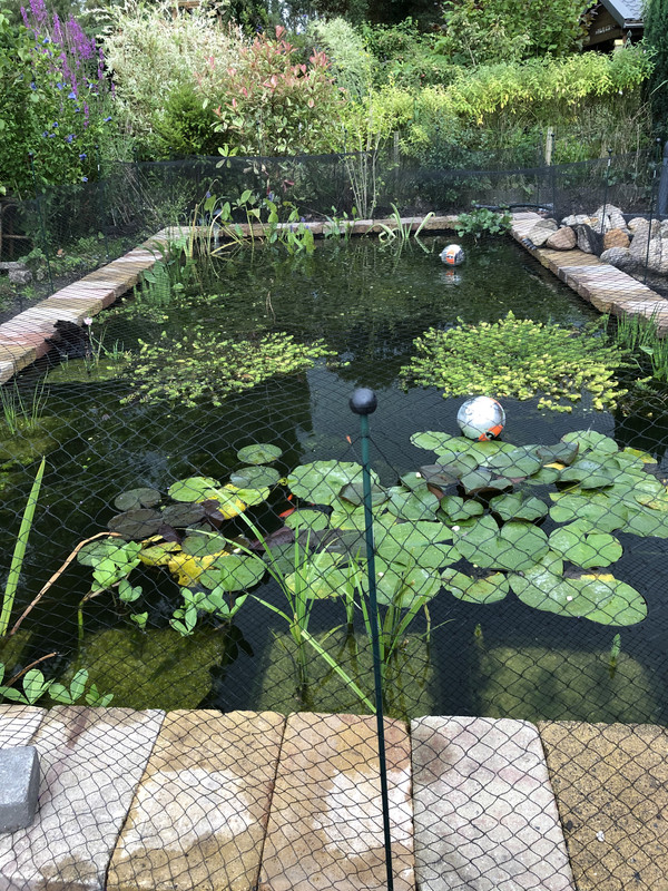 6E8607AC-8D7F-419B-8E63-D54A053C4191