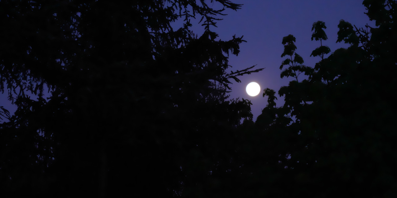 8BF7B1E7-3632-455E-8023-6C6F83077437