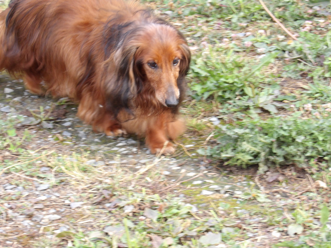 [Image: 125-0038.jpg]