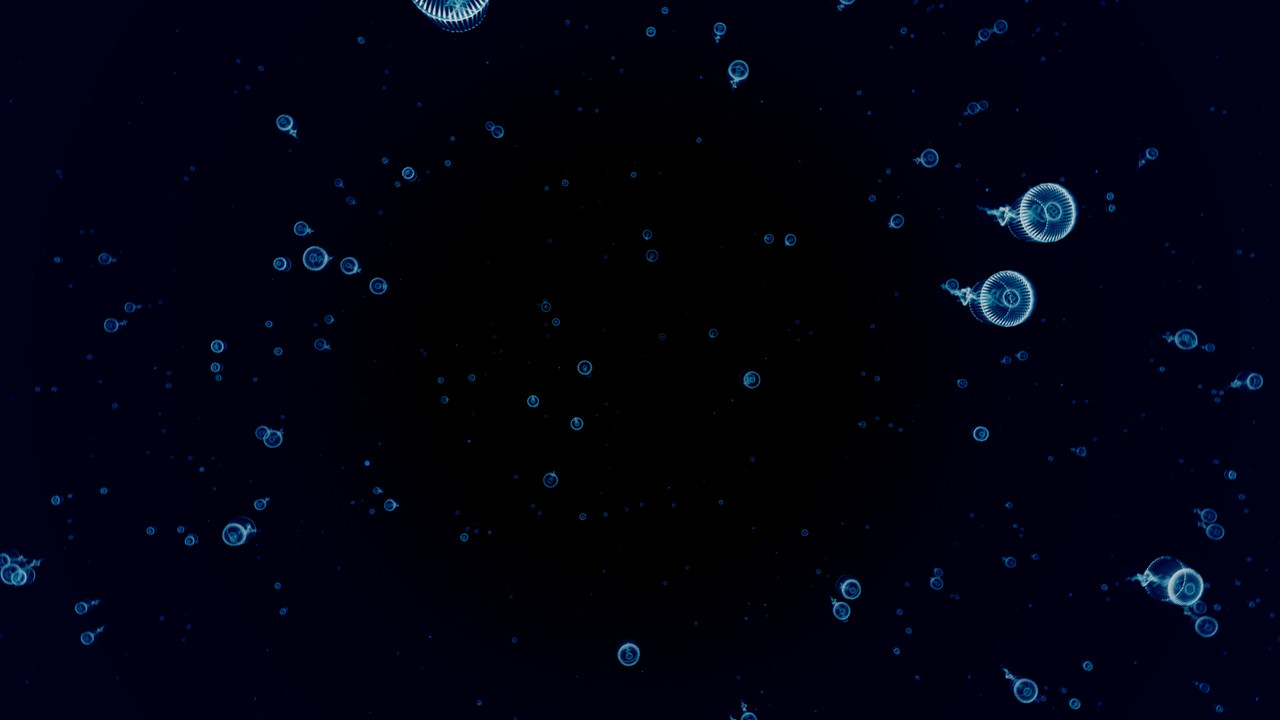 20171226125624-1