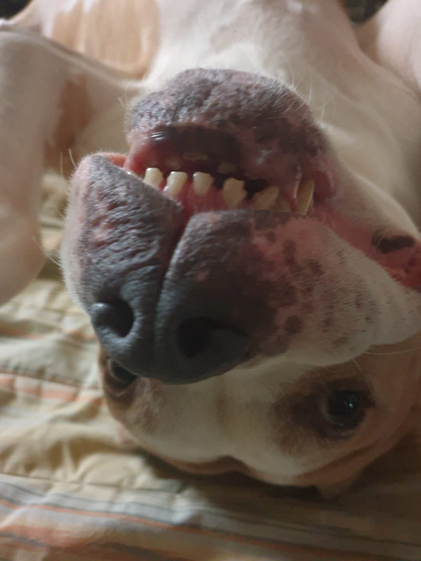 WhatsApp Image 2023-02-06 at 22.35.35 (3)