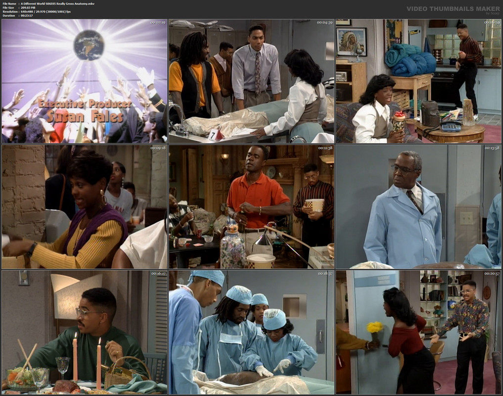 A Different World S06E05 Really Gross Anatomy.mkv