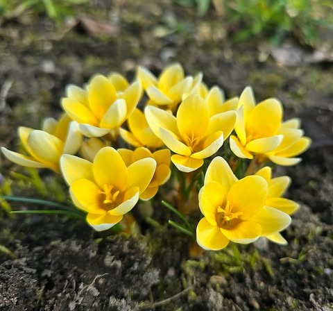 655508056-27447877111481632-1715638205801944283-n