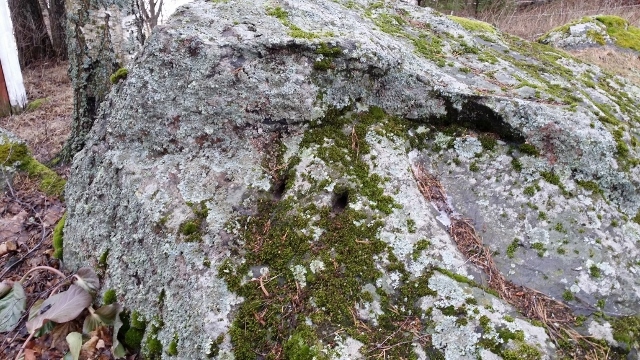 20140222_151914 (640x360)