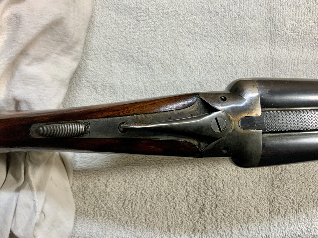 ABB31313-FF65-4DA1-B71F-06EB24D81BCB