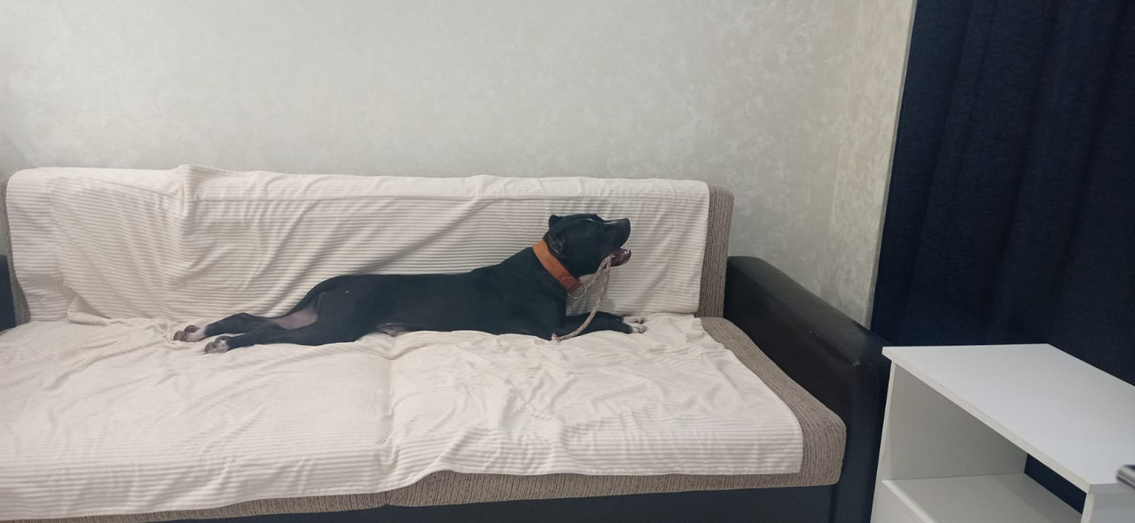 694C85F9-552B-4977-BE33-8A84321AA8FF