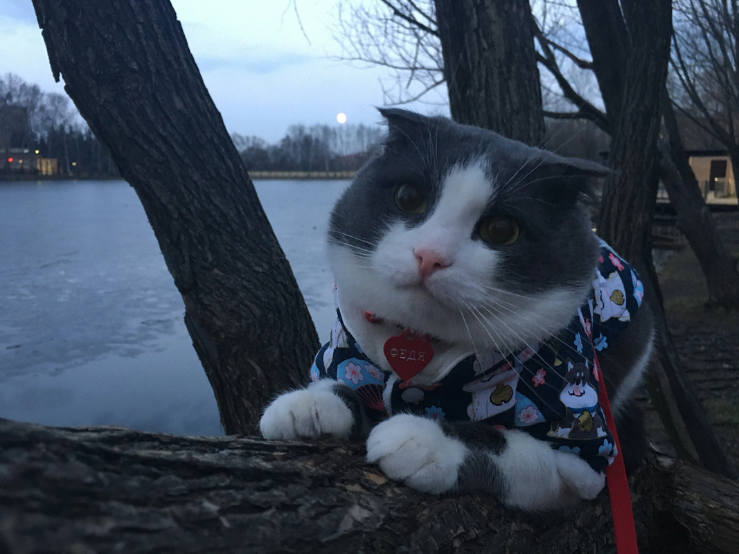 9C6B7B59-0DE8-43A0-B5C2-F7134BA84E1F