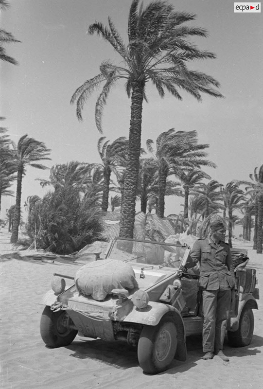 Une Volkswagen Kübelwagen immatriculée WH 649 155, sur les ailes, on reconnaît les insignes tactique