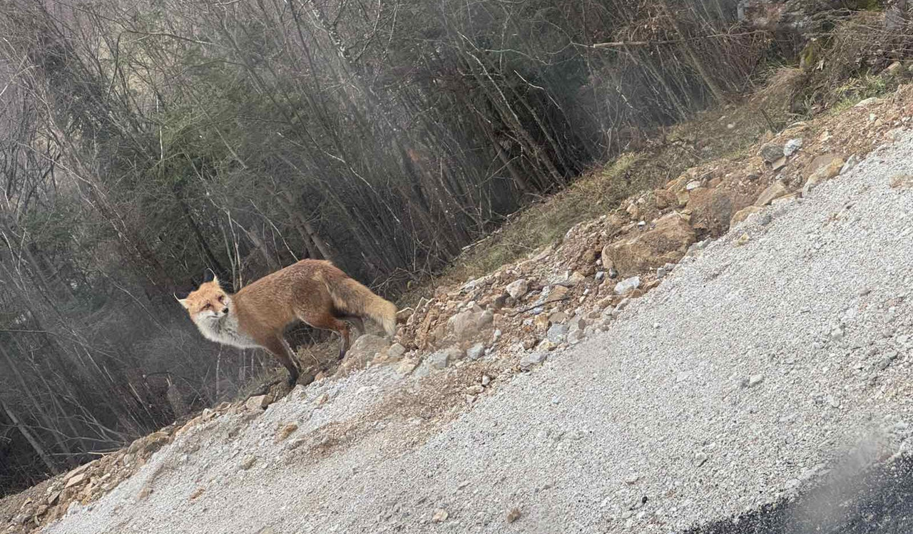 IMG-db16e525066d2ebba1d94ac6310f4dba-V