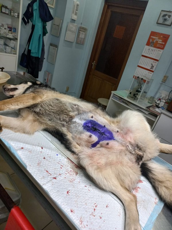 IMG-20231108-WA0000(1)